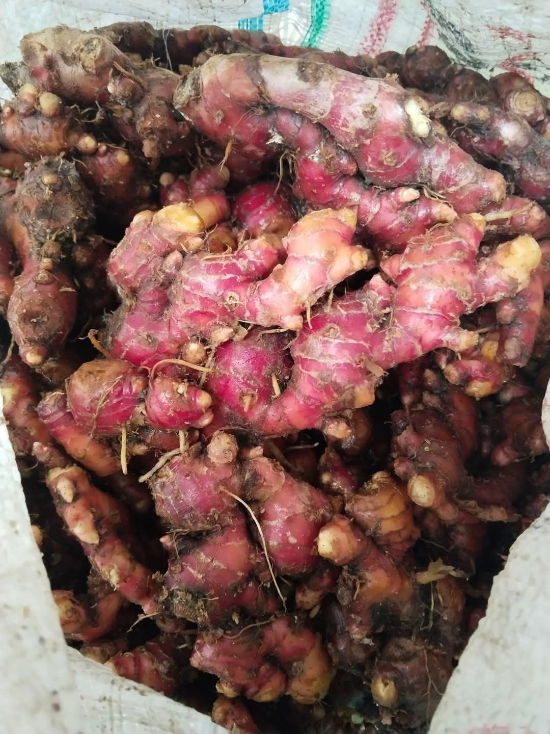 Loco Agro Lestari crafts natural spices and natural ingredients rooted in Indonesia's rich biodiversity.