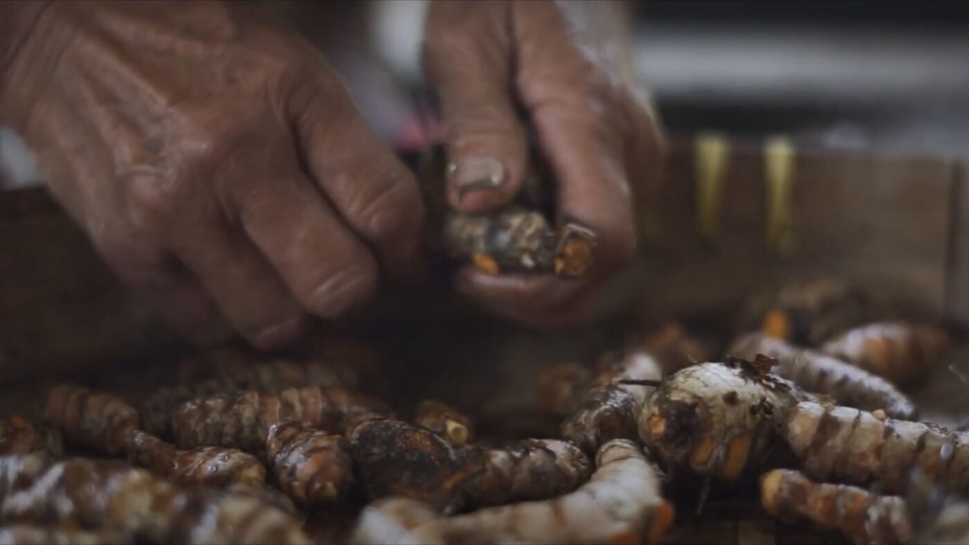 Loco Agro Lestari crafts natural spices and natural ingredients rooted in Indonesia's rich biodiversity.