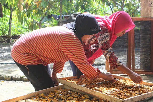Workshop “Women’s Wellness Herbal Class”